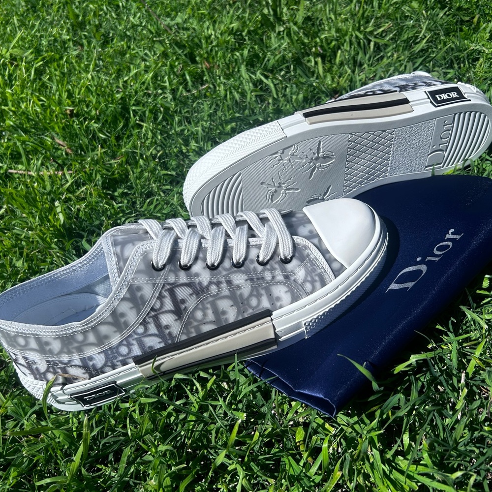 Dior Gray Sneakers with Modern Design